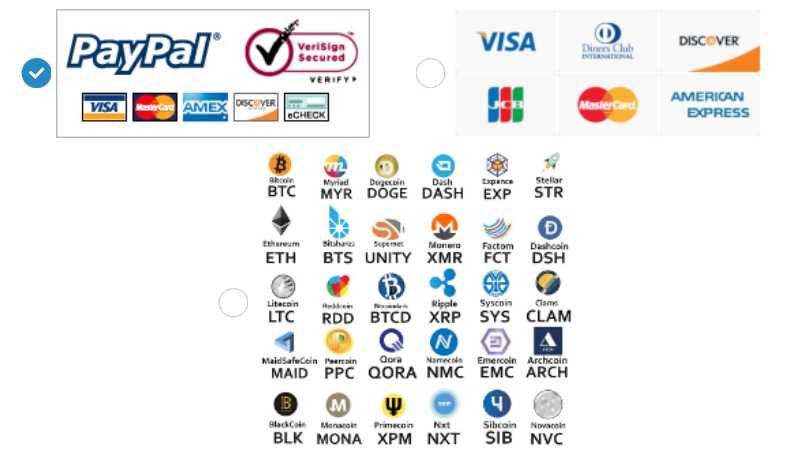 The accepted payment methods by Celo VPN